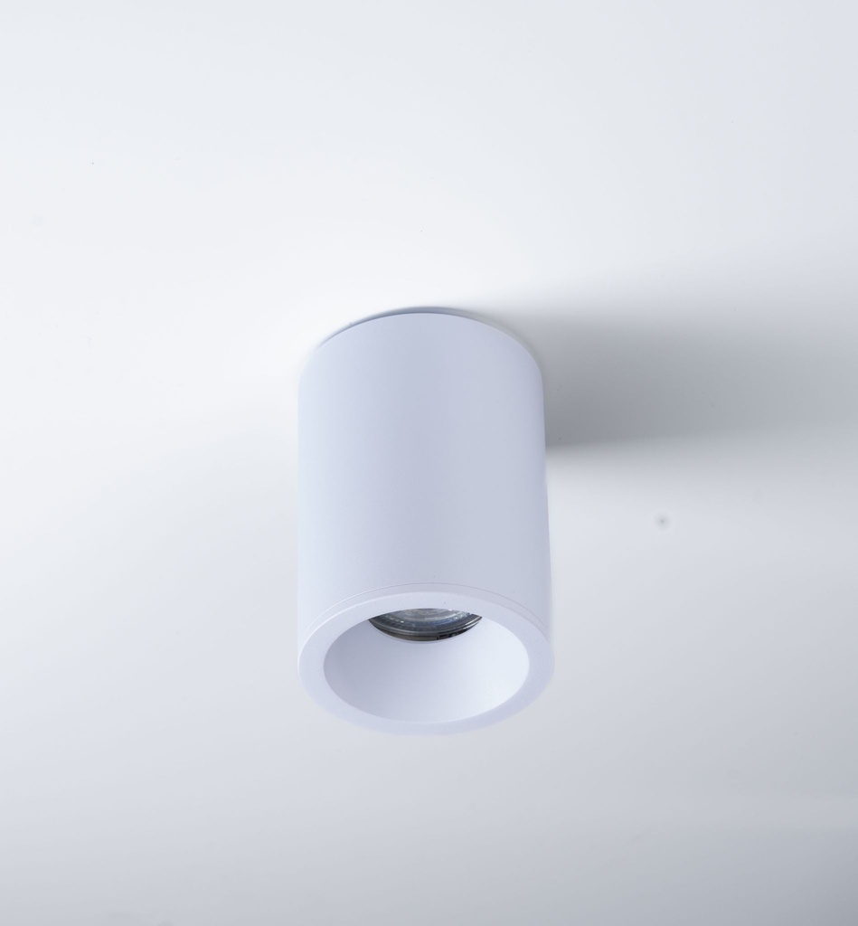 Downlight Wet surface white