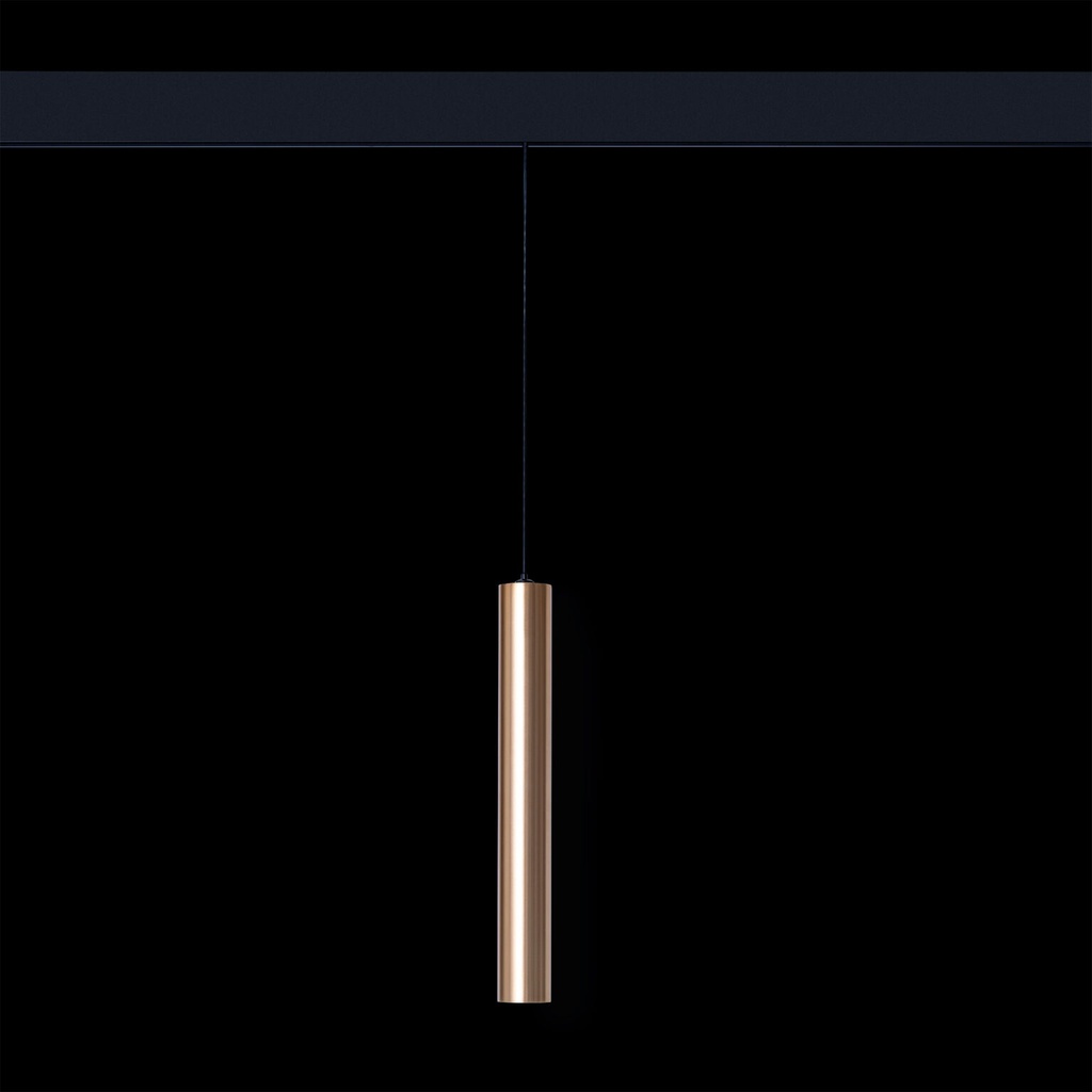 Magnetic track light Ray black+gold