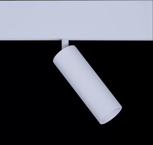 [LY-MTR-10-P1W] Magnetic track light IVY full white